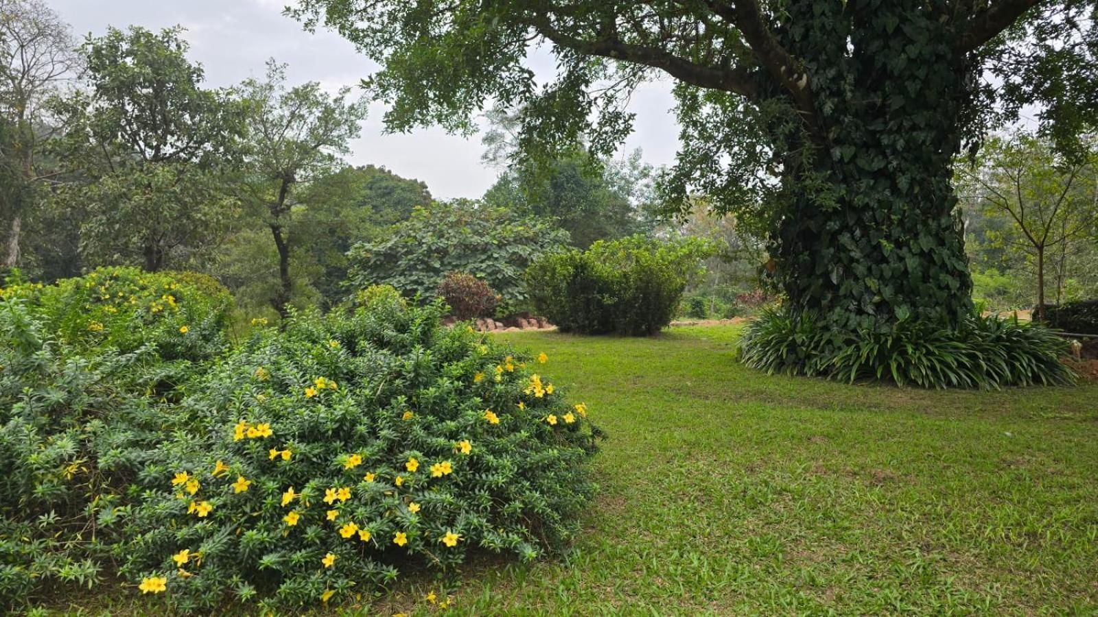 Highland Estate Otel Sakleshpur Dış mekan fotoğraf