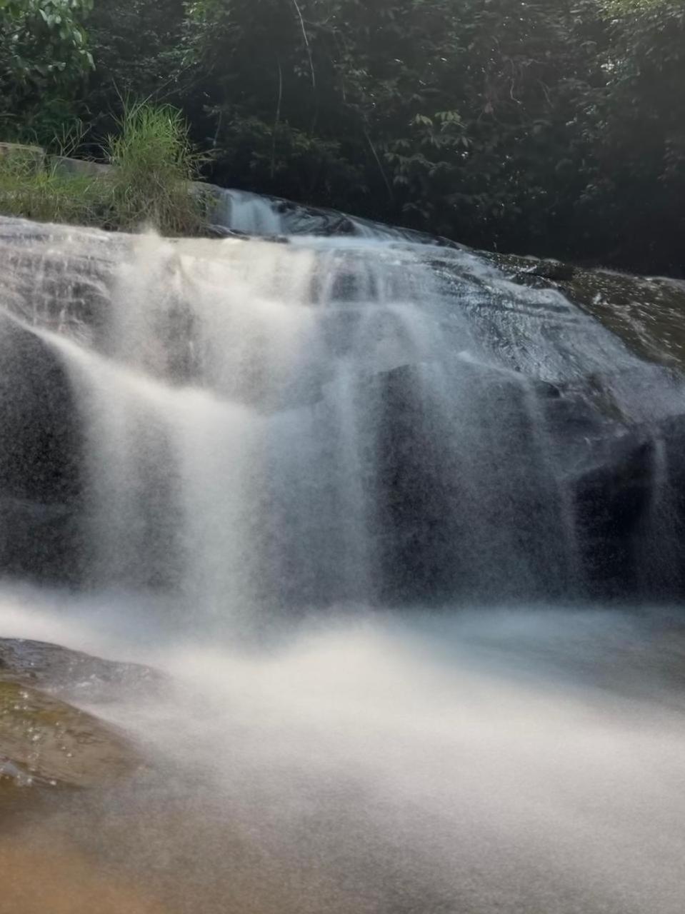 Highland Estate Otel Sakleshpur Dış mekan fotoğraf